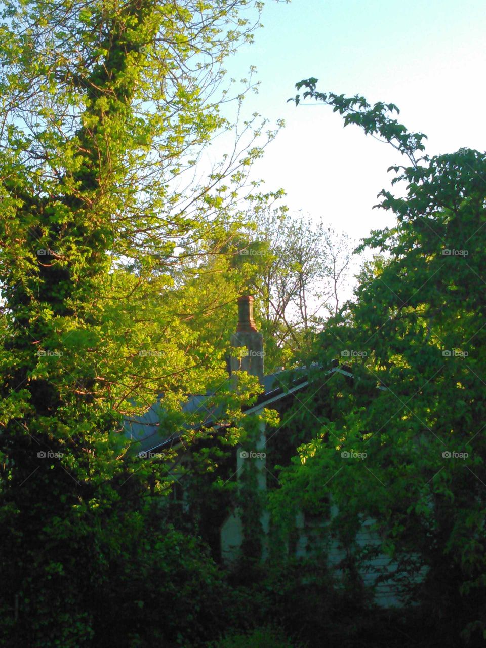 abandoned house