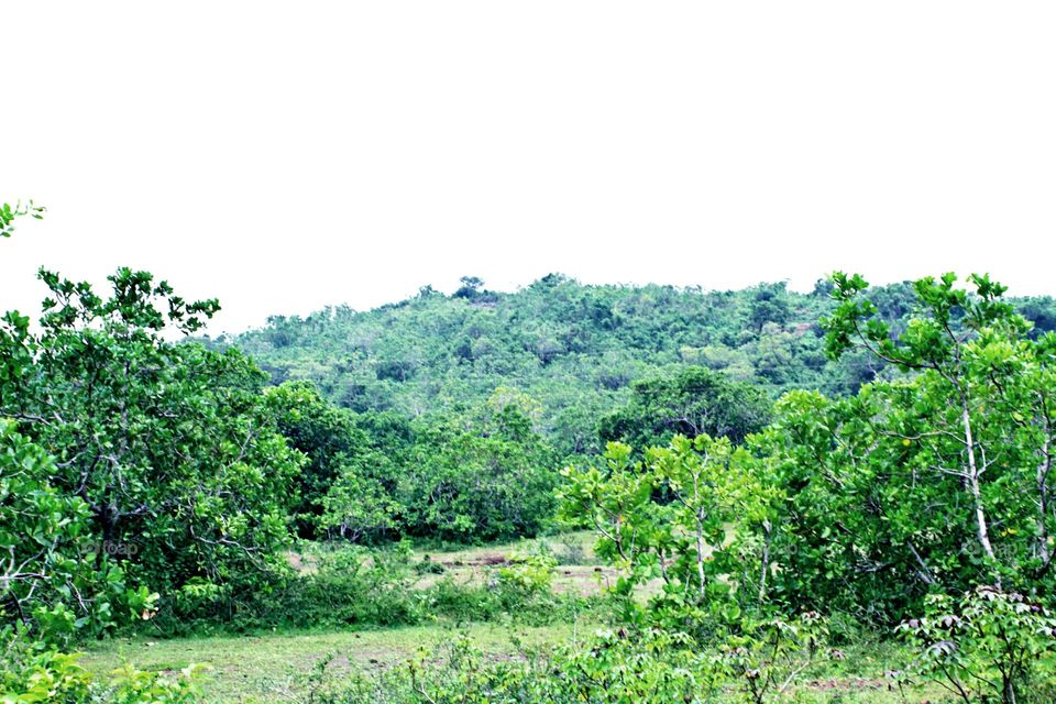 View of a small hill from my Village