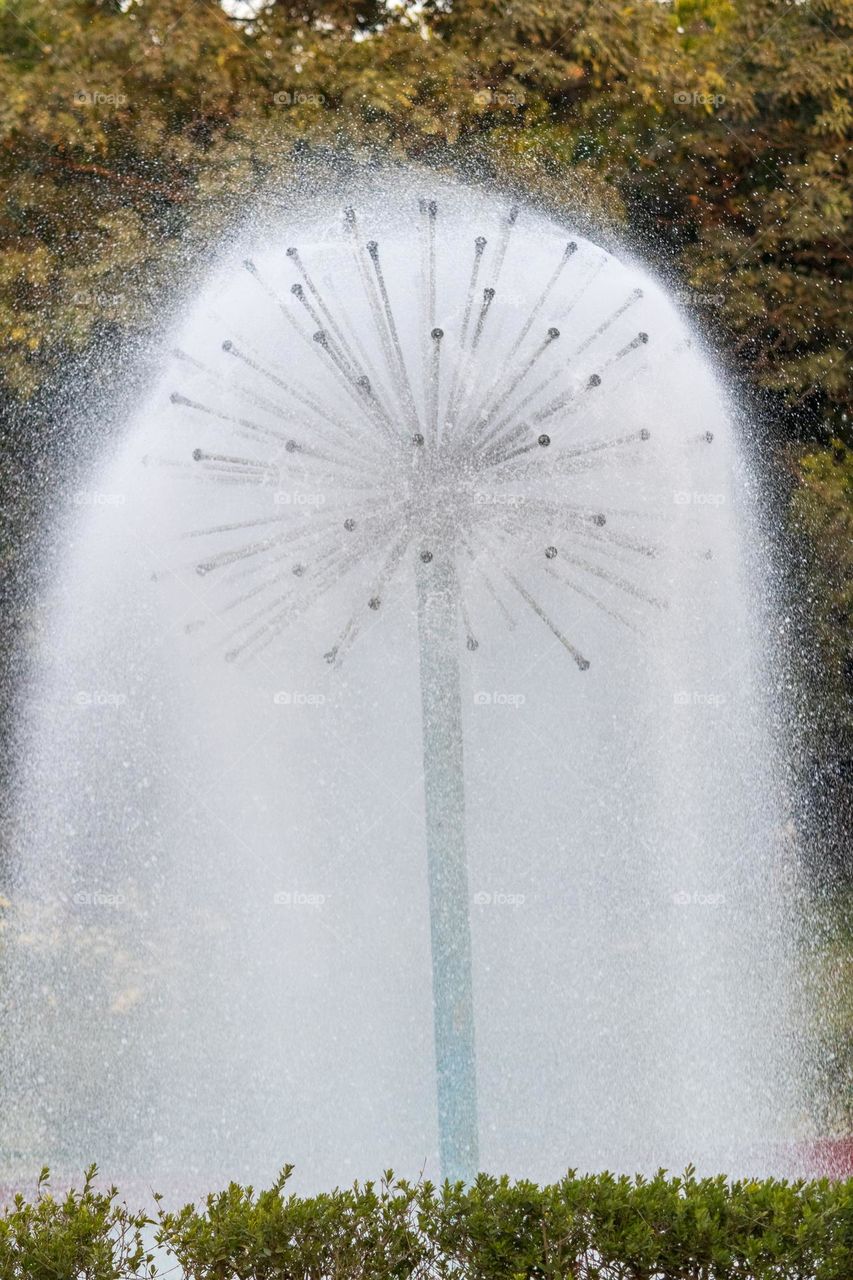 Water shower in a garden