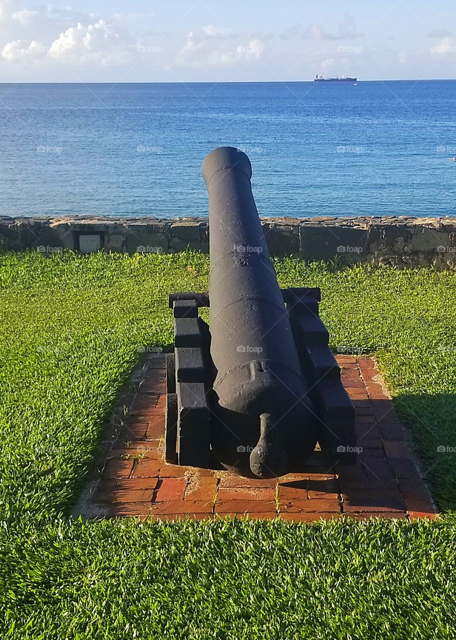 Cannon Protection