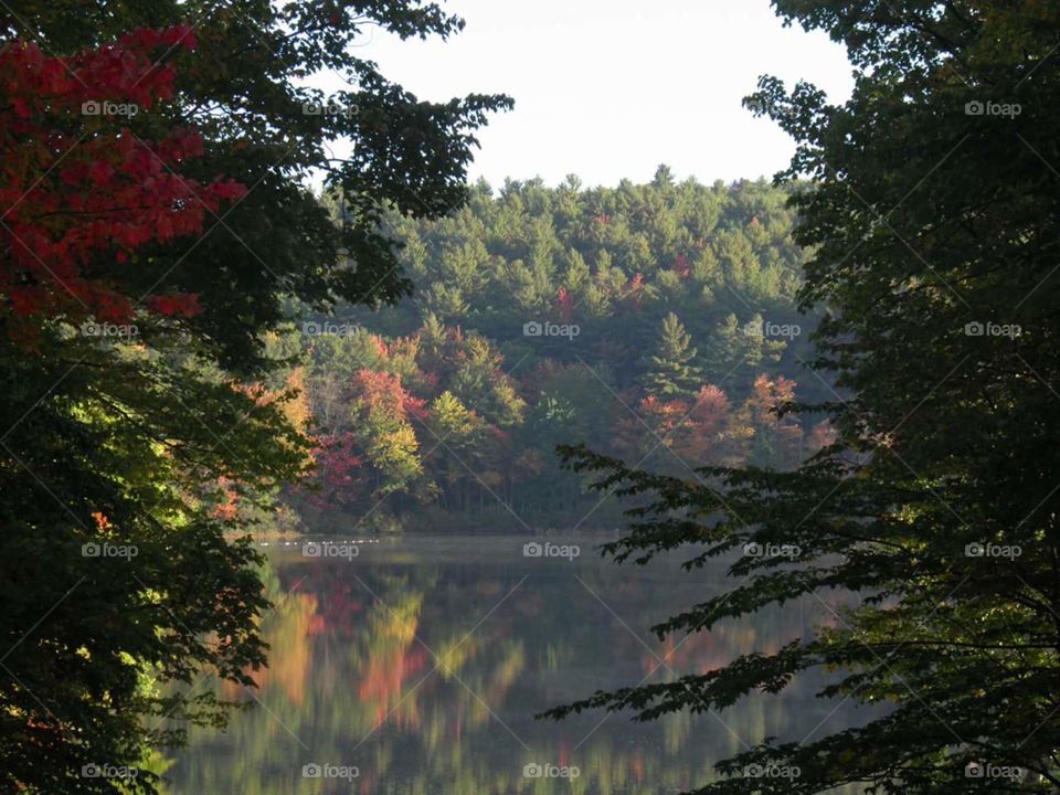 Autumn at Loon Pond