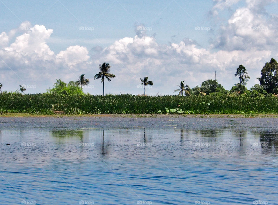 Scenery of lake with reflection