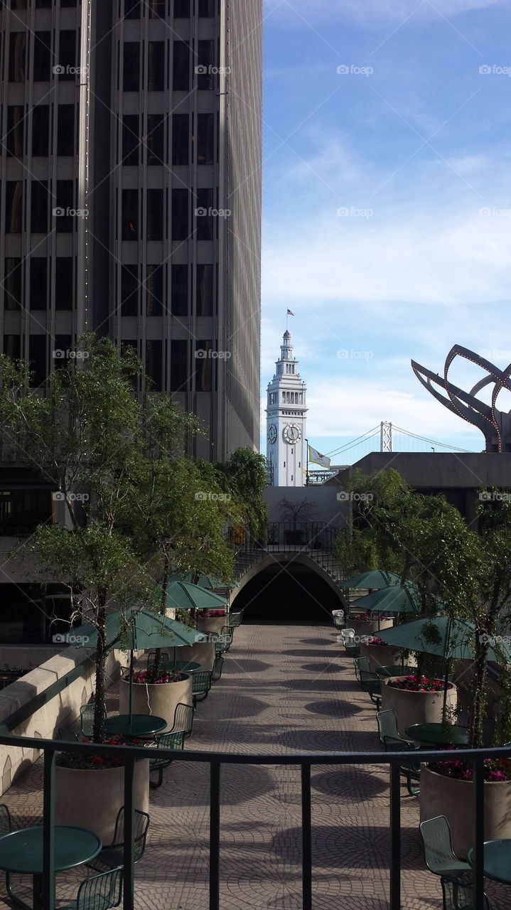 SF Ferry building view