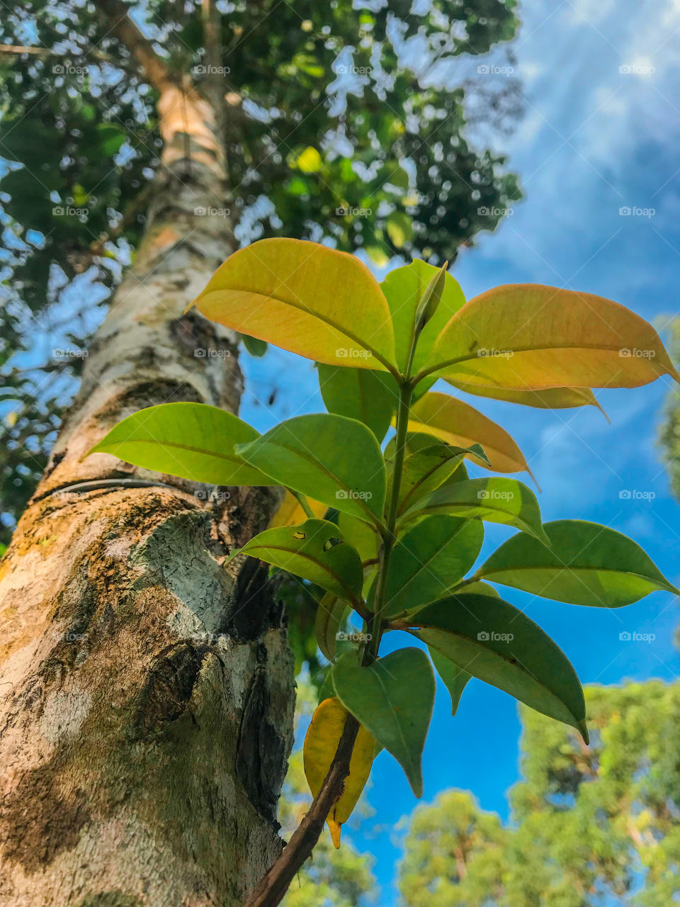 Tiro foto de tudo o que vejo pela frente 📸