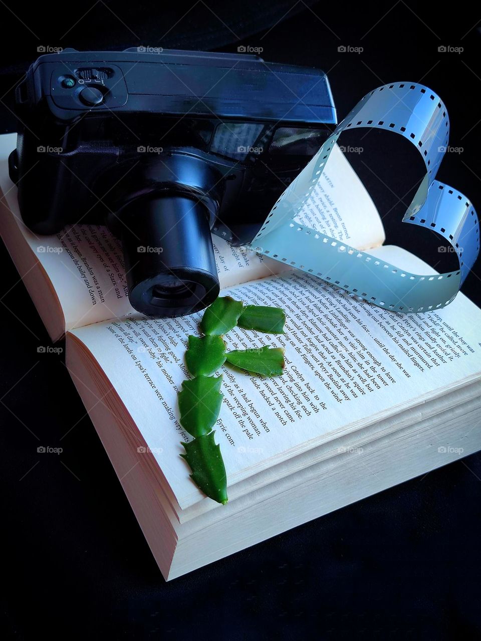 An open book lies on a black background. On top of the book is a black camera holding a heart-shaped film. On the book lies a green stem of a cactus in the shape of the letter "F"