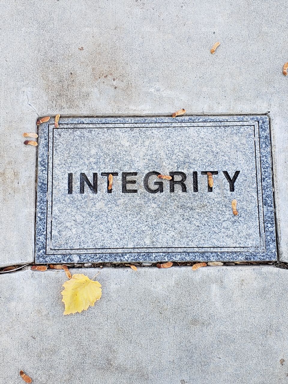 integrity