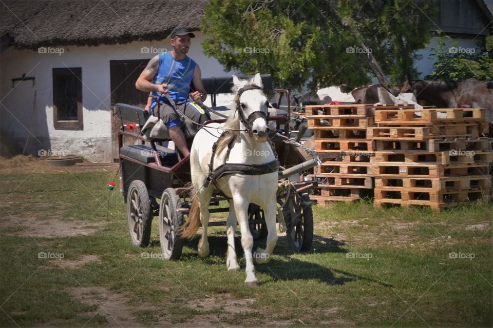 Cavalry, People, Mammal, Farm, Cart