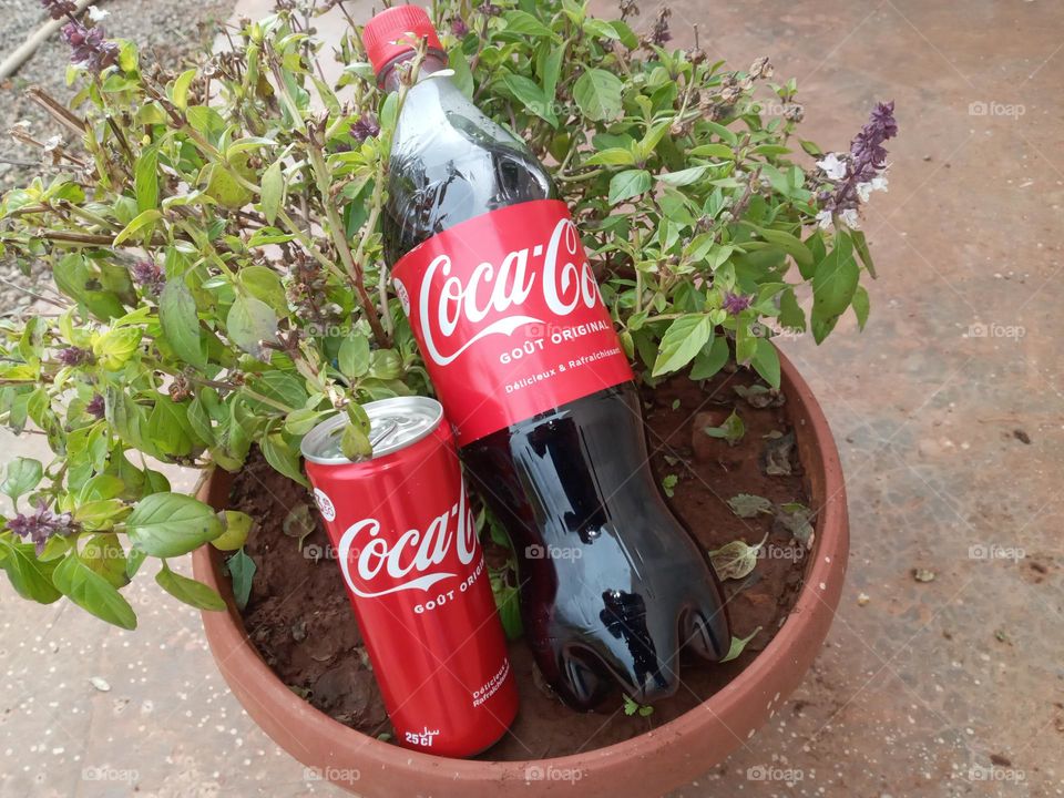 Bottle ans can of coca cola