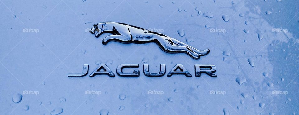 A closeup of the Jaguar F-Type metallic logo.