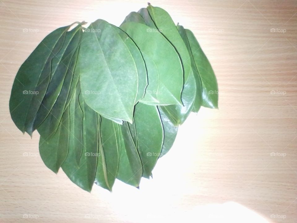 Soursop leaf for health
