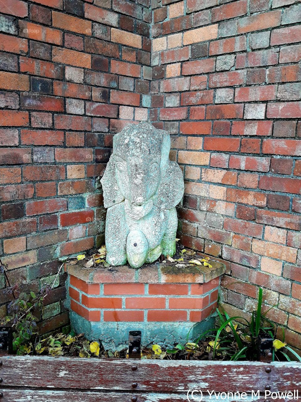 Small Elephant Statue