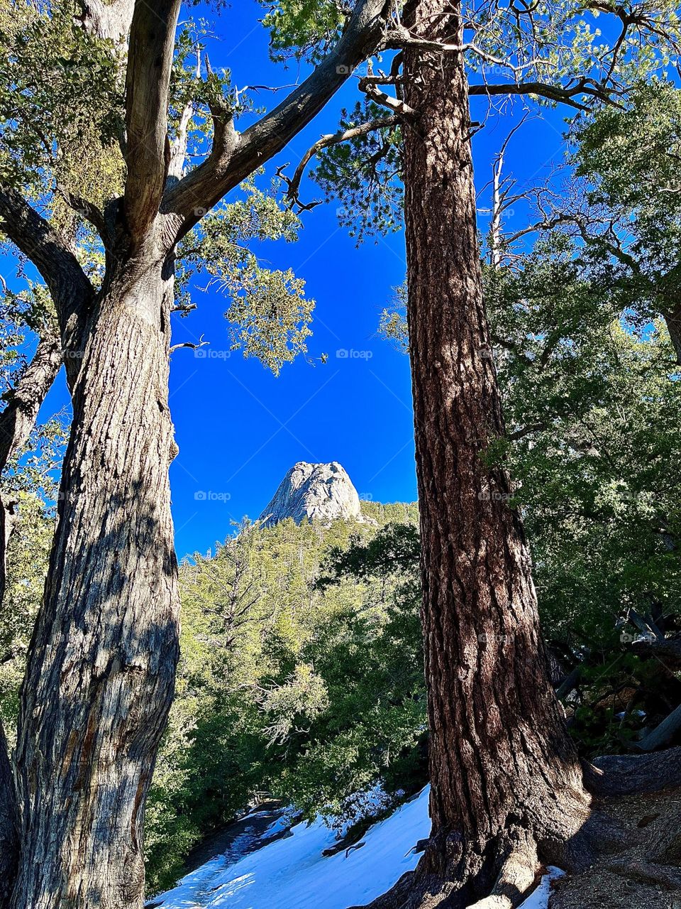 Tahquitz Peak