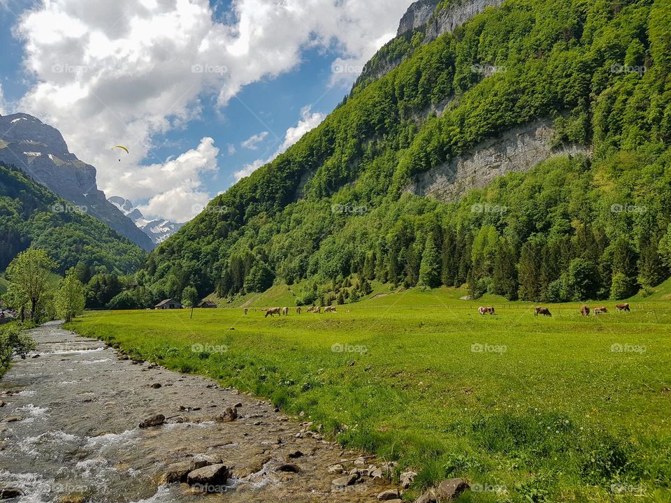 A beautiful green valley bathed in sun and dotted with clouds in the Swiss Alps near Appenzell.