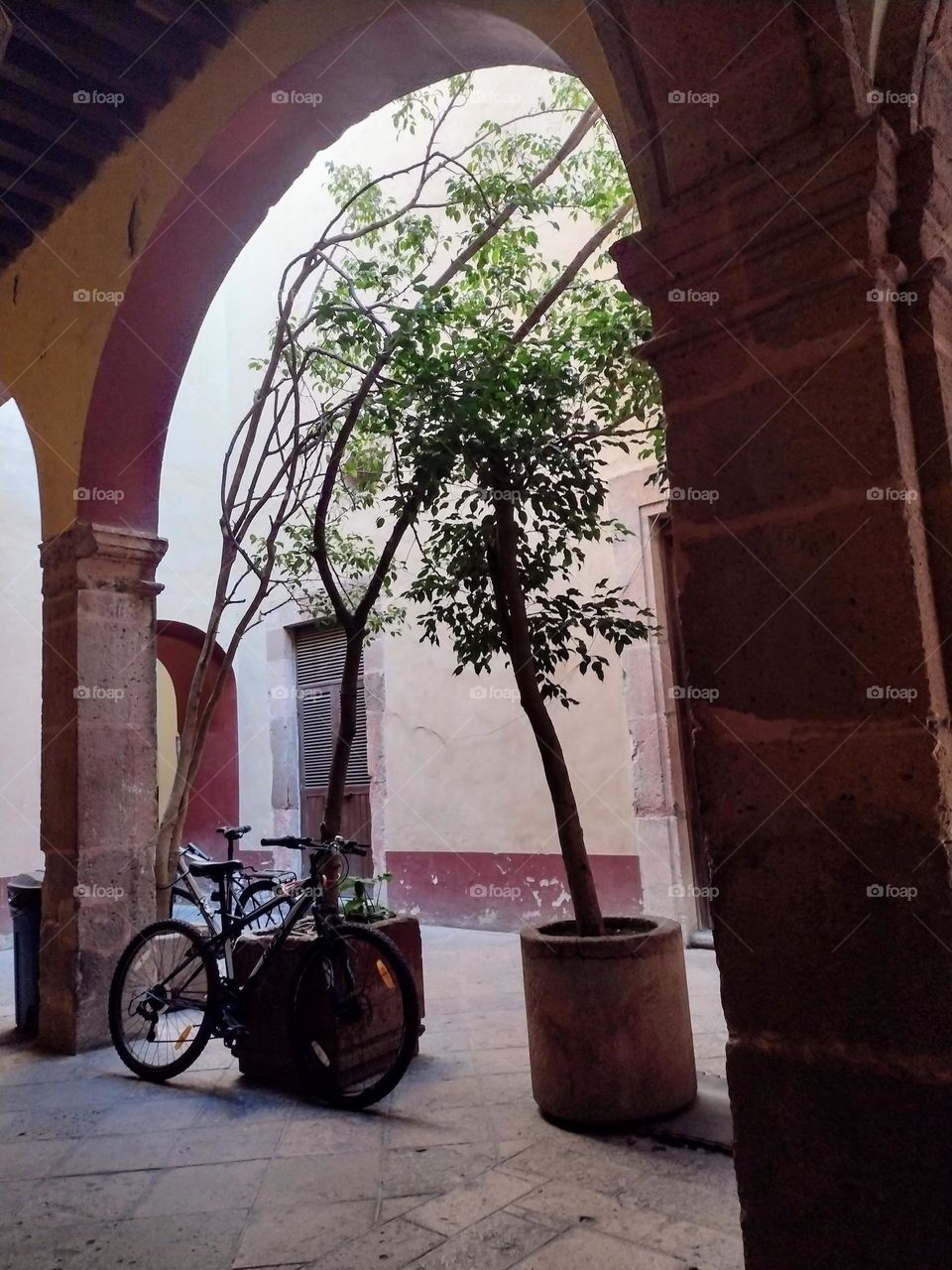 Bycicle in the patio of an old house