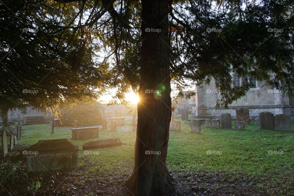 Sunset in the churchyard with green orbs 