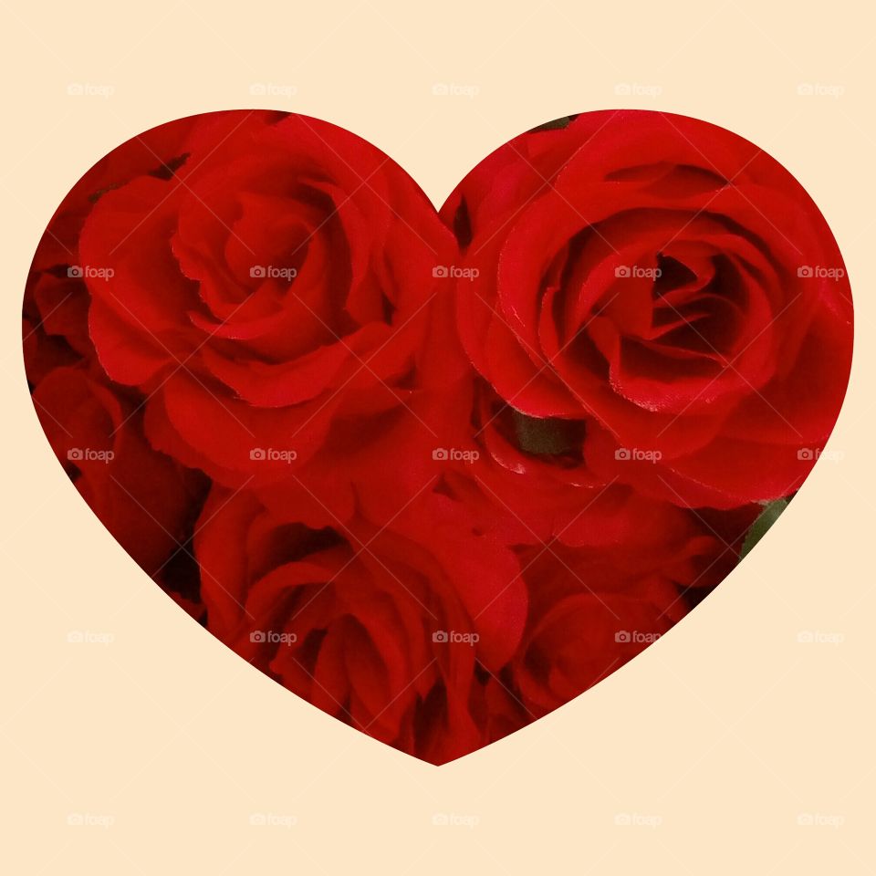 Roses heart-shaped design on white backround