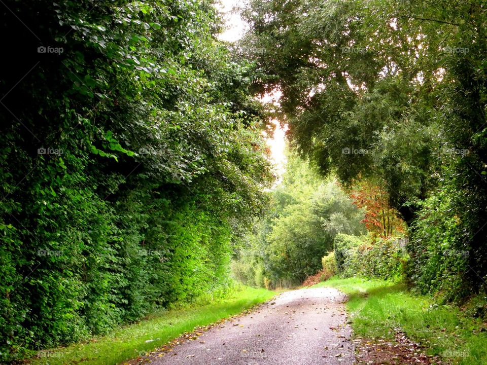 green arch