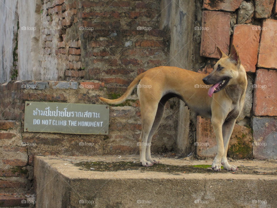 Do not climb the monument!