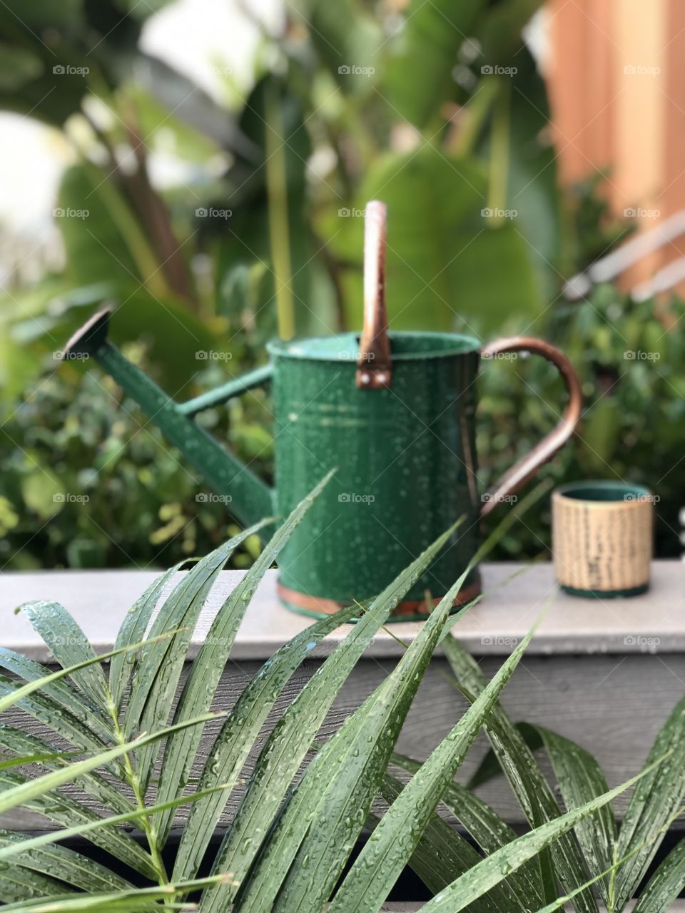 Watering can after fresh rain