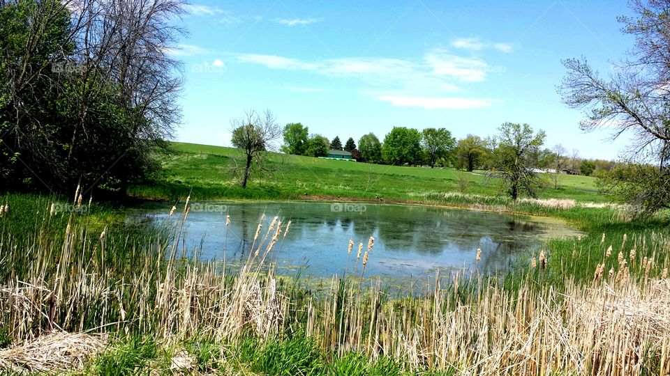 Nature . Pond