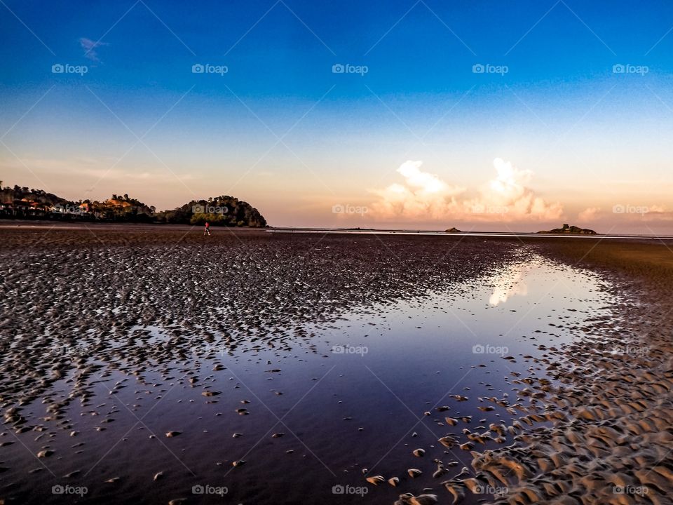 Seaside in low tide