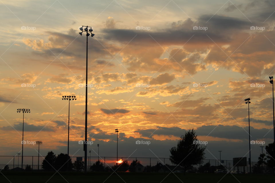 Silhouettes of trees in a beautiful sunset 