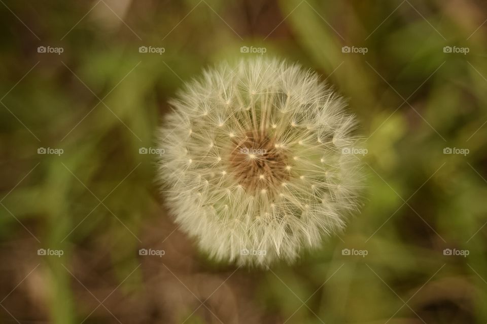 Darryl Wilson . No story 