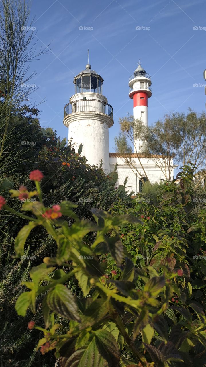 Two lighthouse