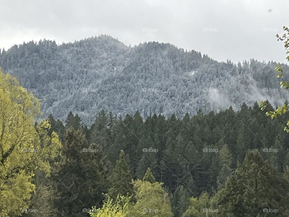 Rogue Valley Winter Mountain Tops.  Best view from my kitchen.