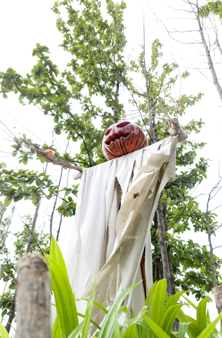 Halloween Decoration