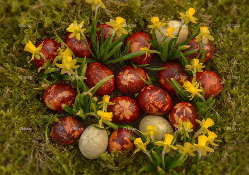 Naturally dyed easter eggs. Dyed with onion skin.