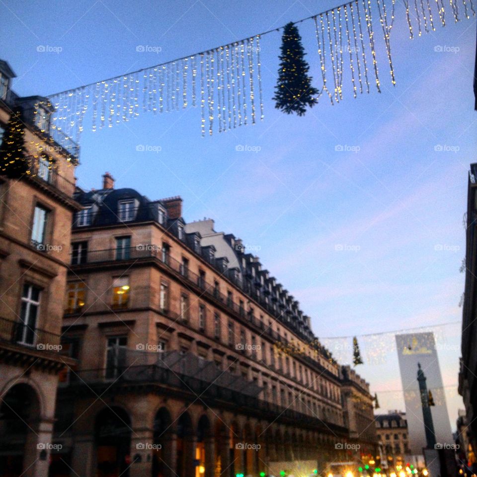 christmas little tree. christmas little tree deciration in paris street