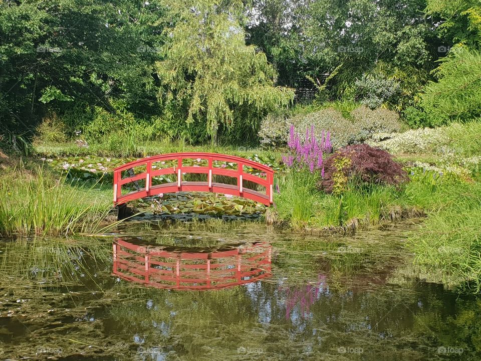 red bridge in a lily pond