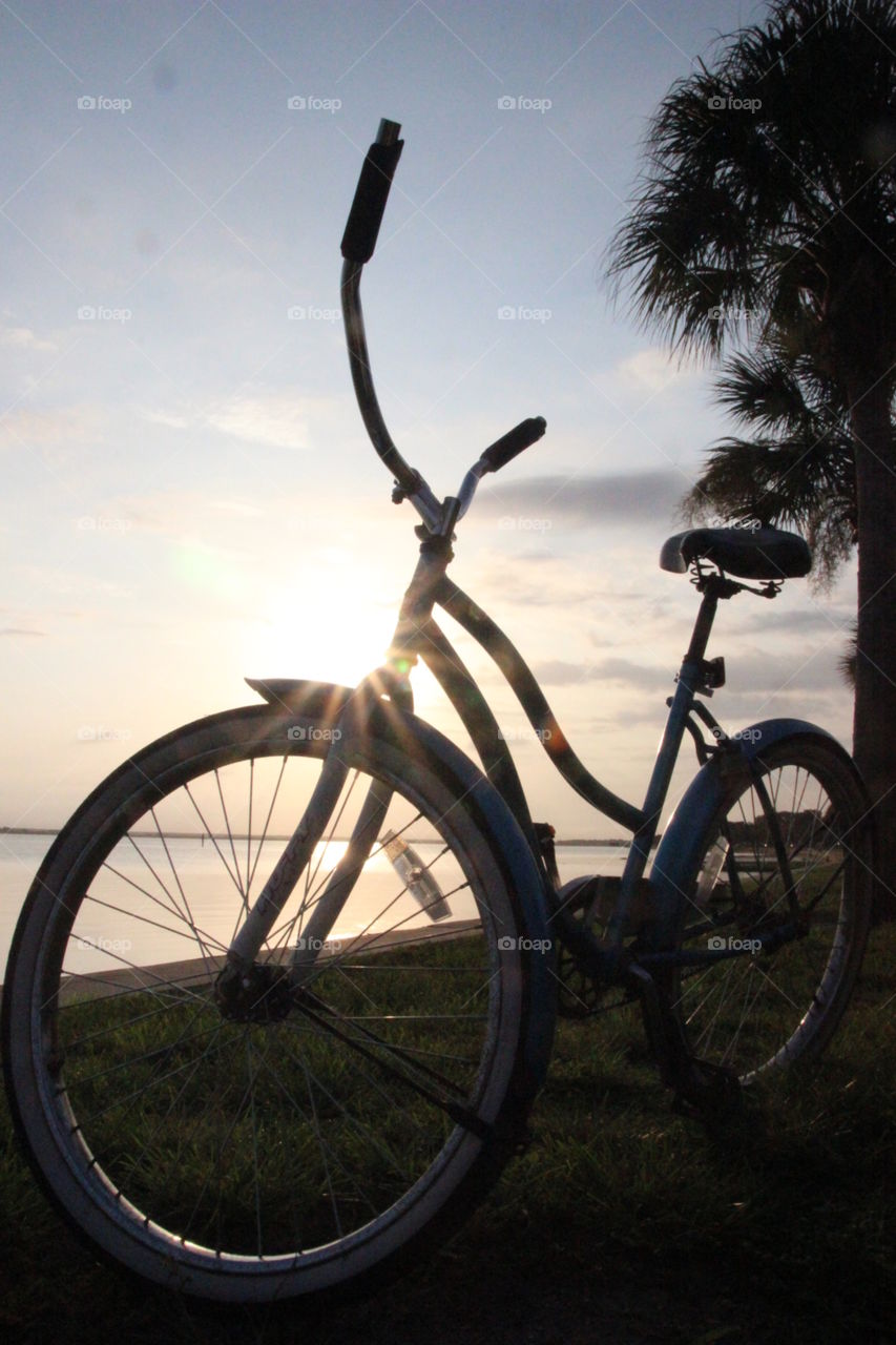 Bike silhouette 