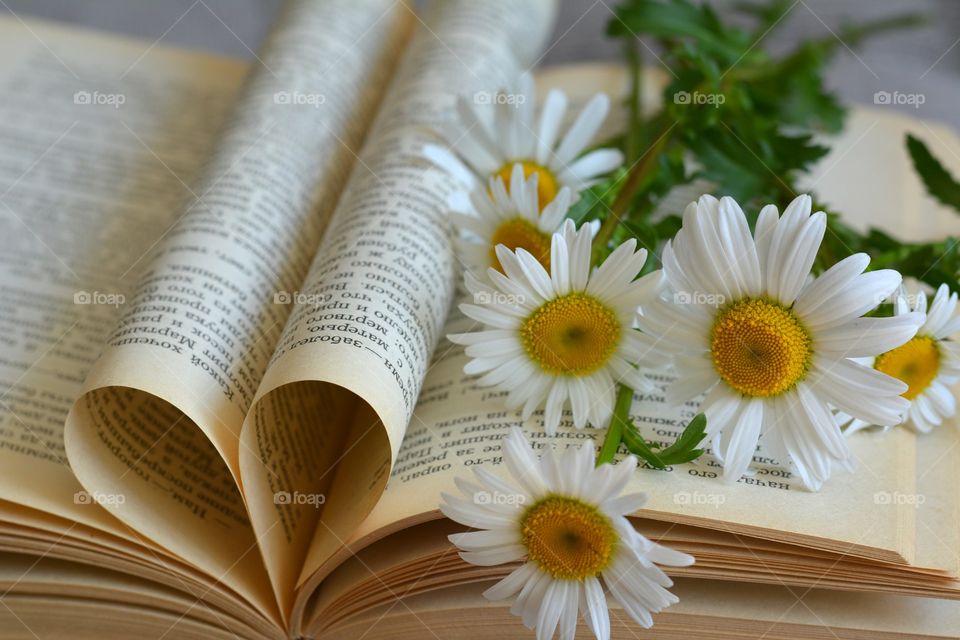 No Person, Health, Closeup, Book, Flower