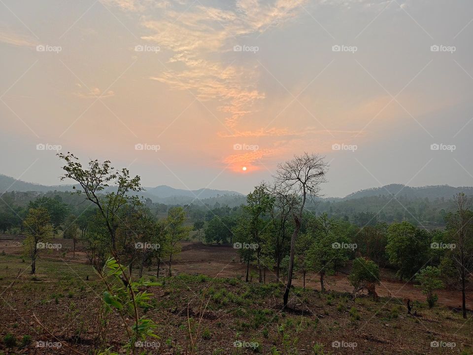the morning time of sun rise 
hazy today sky hazy weather hazy summer is looks nature the love
🧡of beauty forest