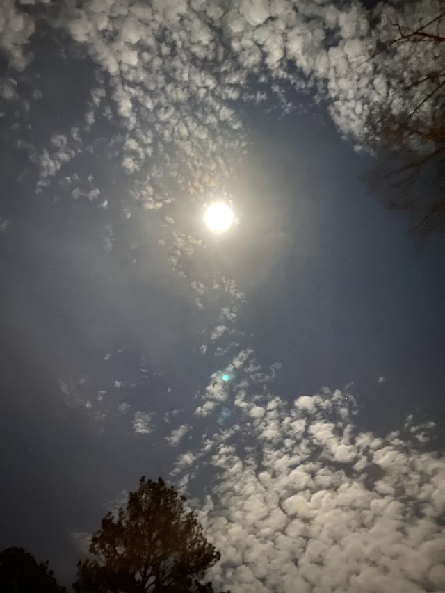 Night sky