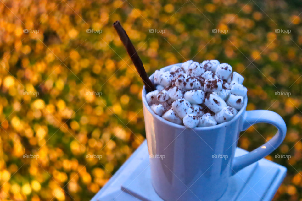 Hot drink with cinnamon stick and marshmallows on deck above field of fallen autumn leaves. 