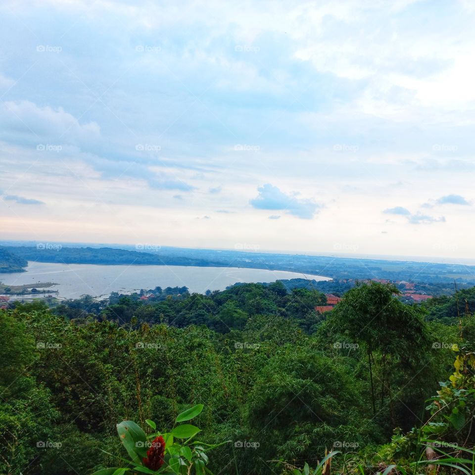 View of the lake above the height of the hill
