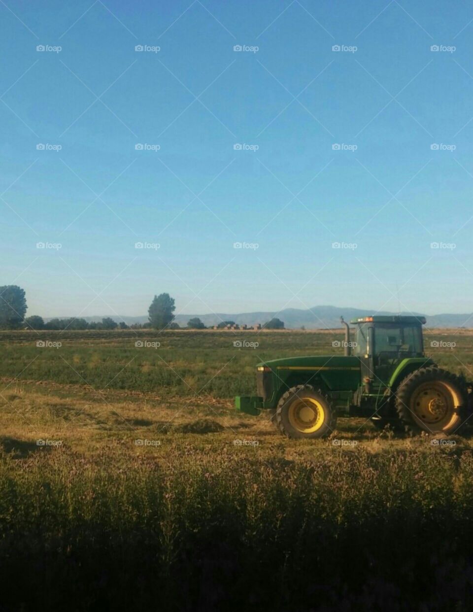 tractor 