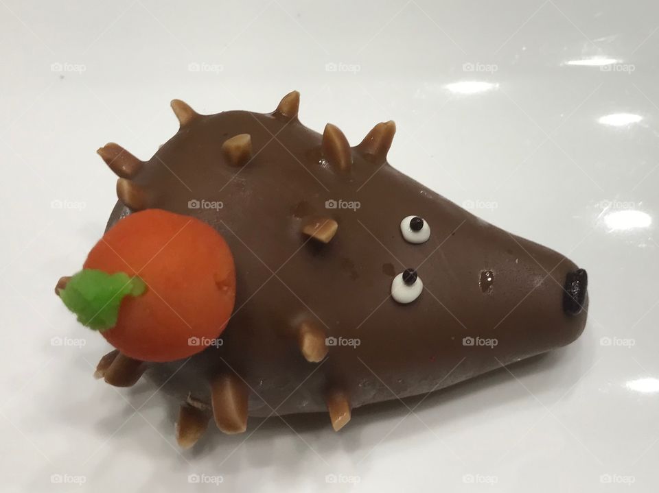 Chocolate hedgehog