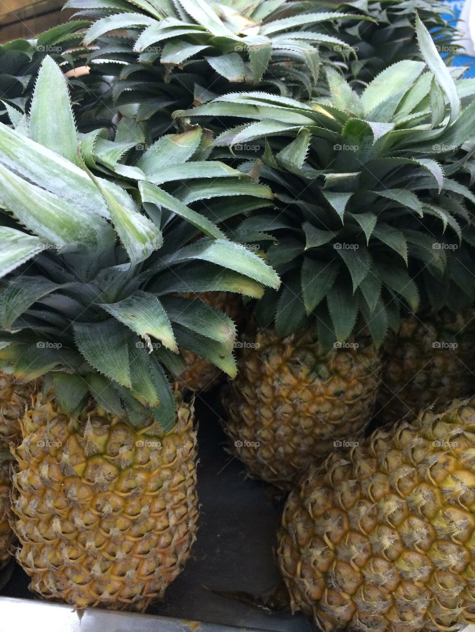 Pineapples 