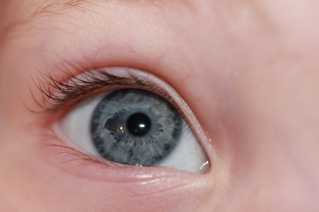 Close-up of gray eyes
