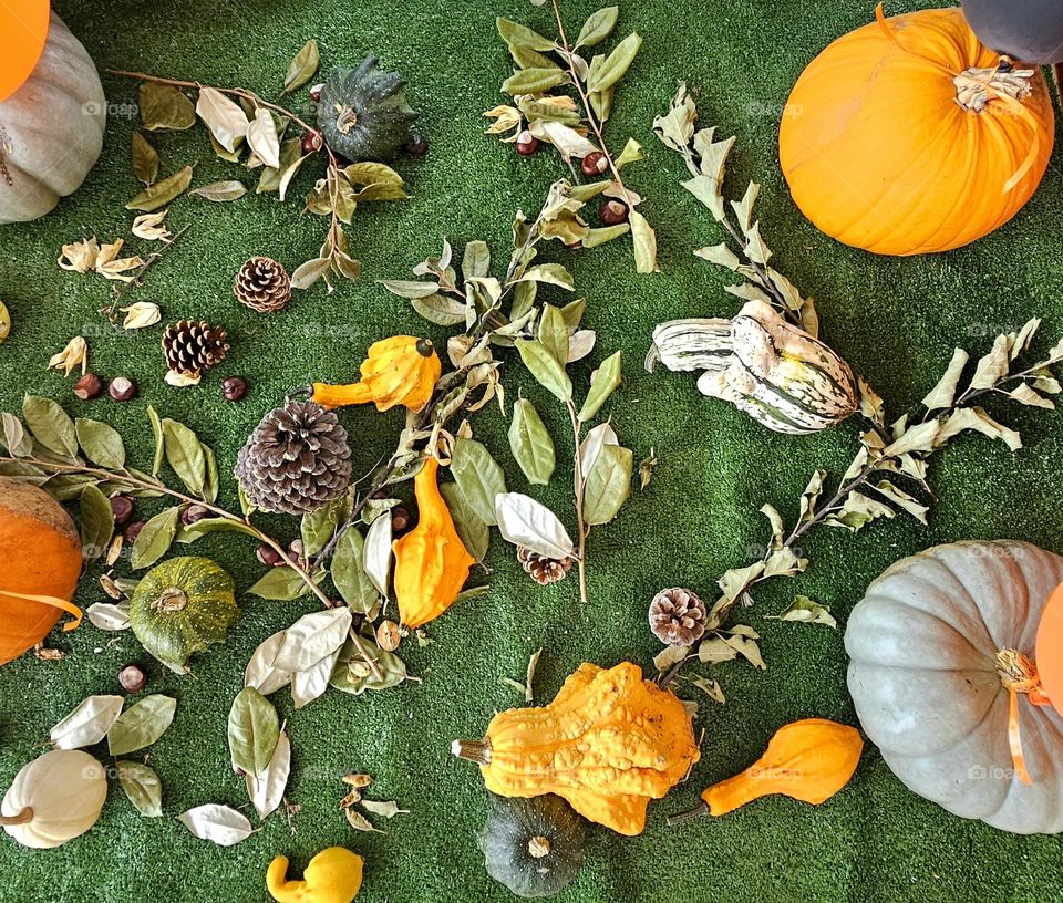 Halloween at the Deauville swimmingpool