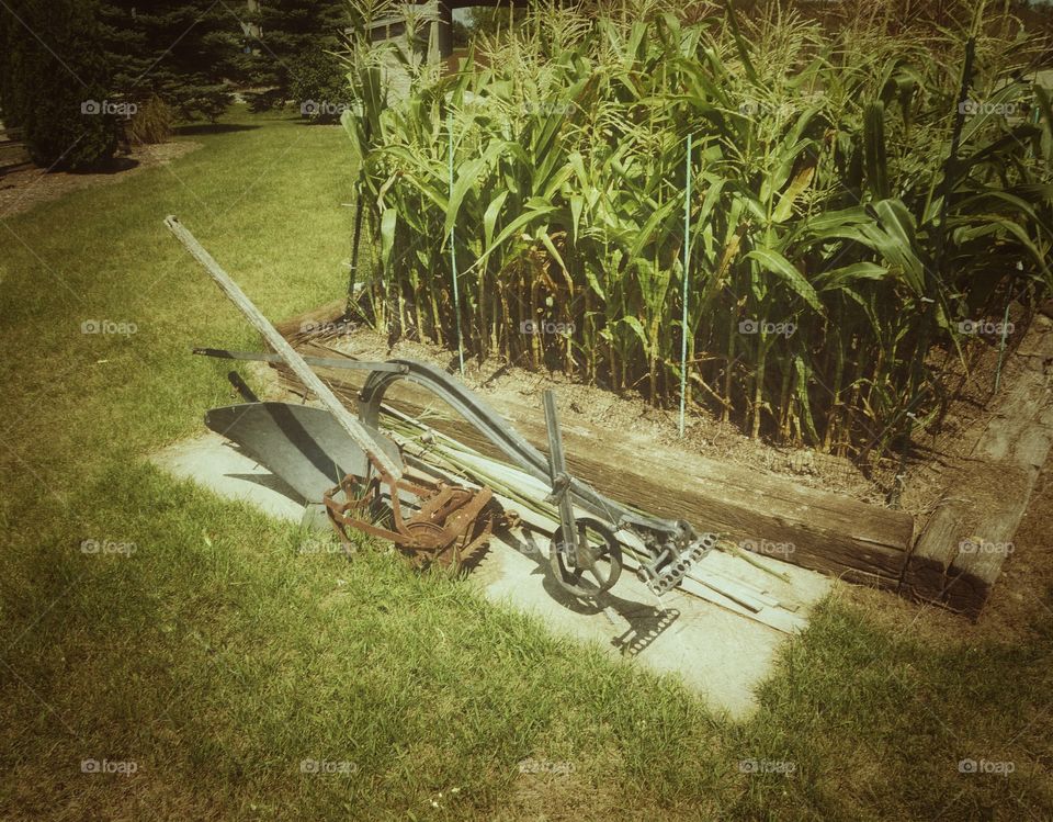 Small Vegetable Garden. Historic Garden Implements on Display