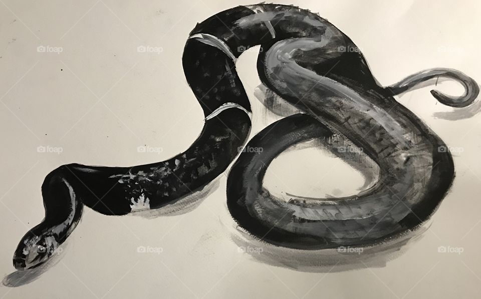 Snake acrylic painting by Danielle Mims