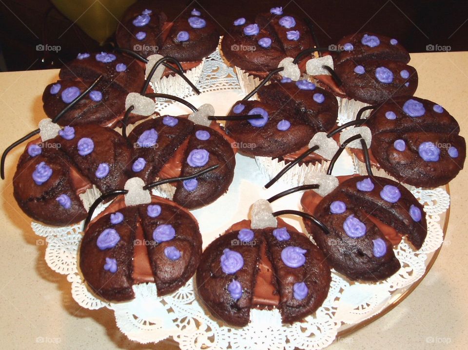 Lady Bug Cupcakes 