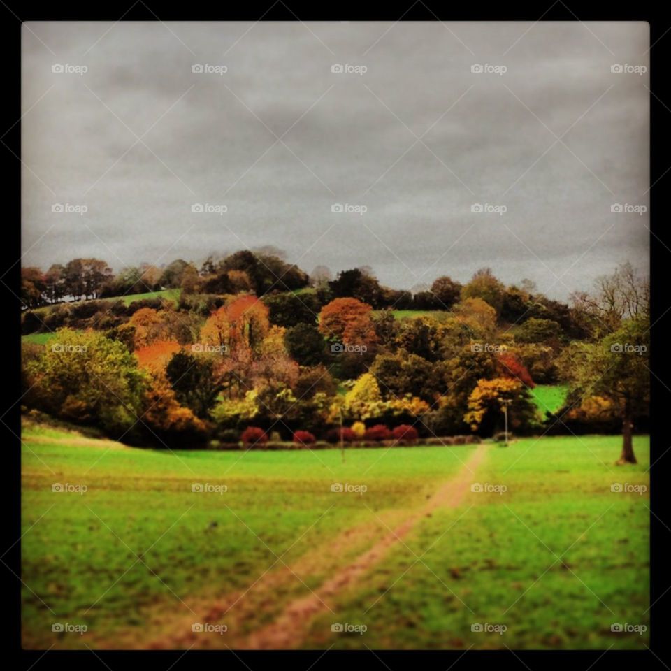 Stormy landscape