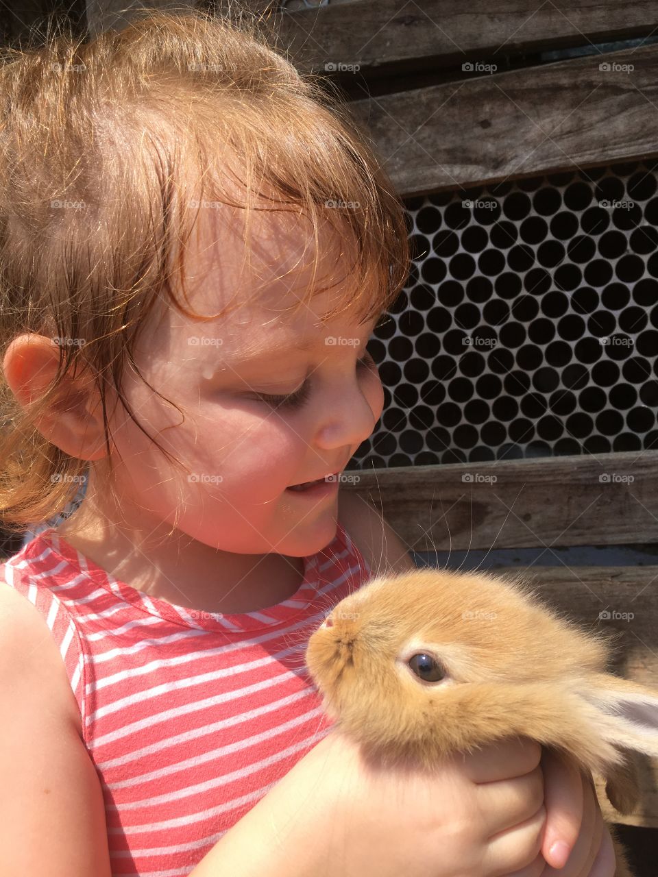 🇺🇸 A passionate look from Maria Estela to the bunny. Live the nature and the gracefulness of the pets! / 🇧🇷 Um olhar apaixonante da Maria Estela para o coelhinho. Viva a natureza e a graciosidade dos bichinhos!