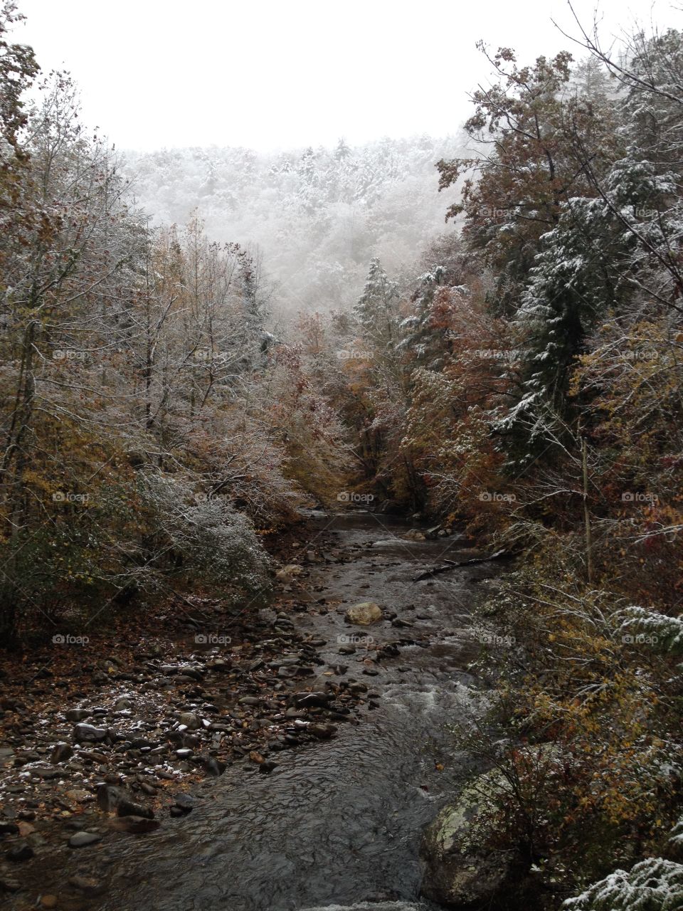 The beauty of two seasons in the Smokies.

